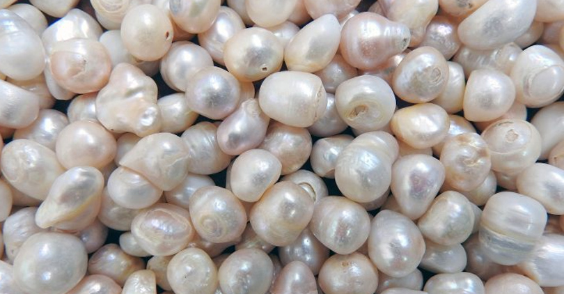 What Everyone Should Know About Pearl Prices